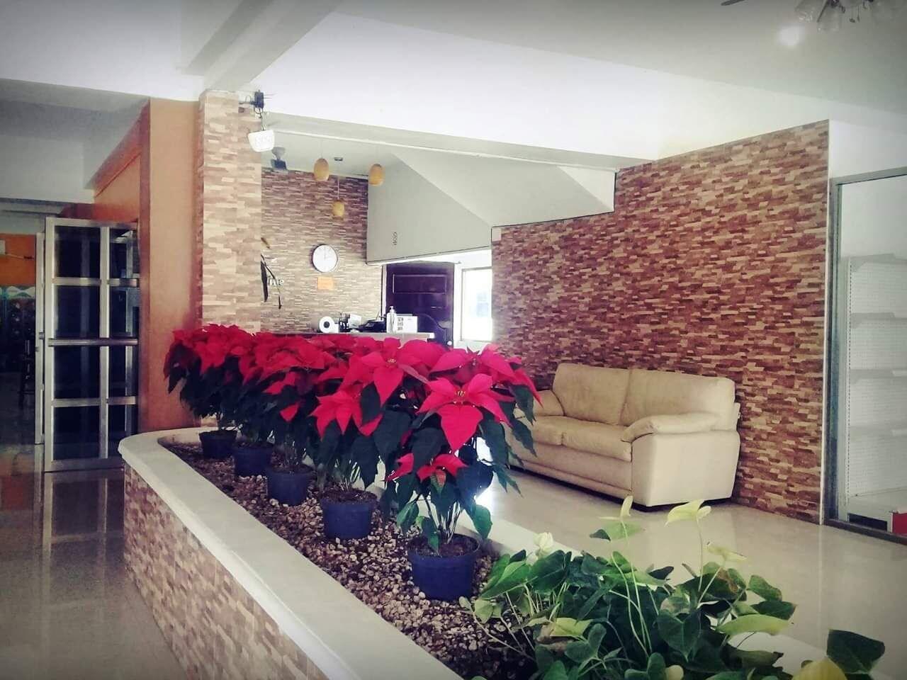 Vista Lobby Hotel Luna Caribe