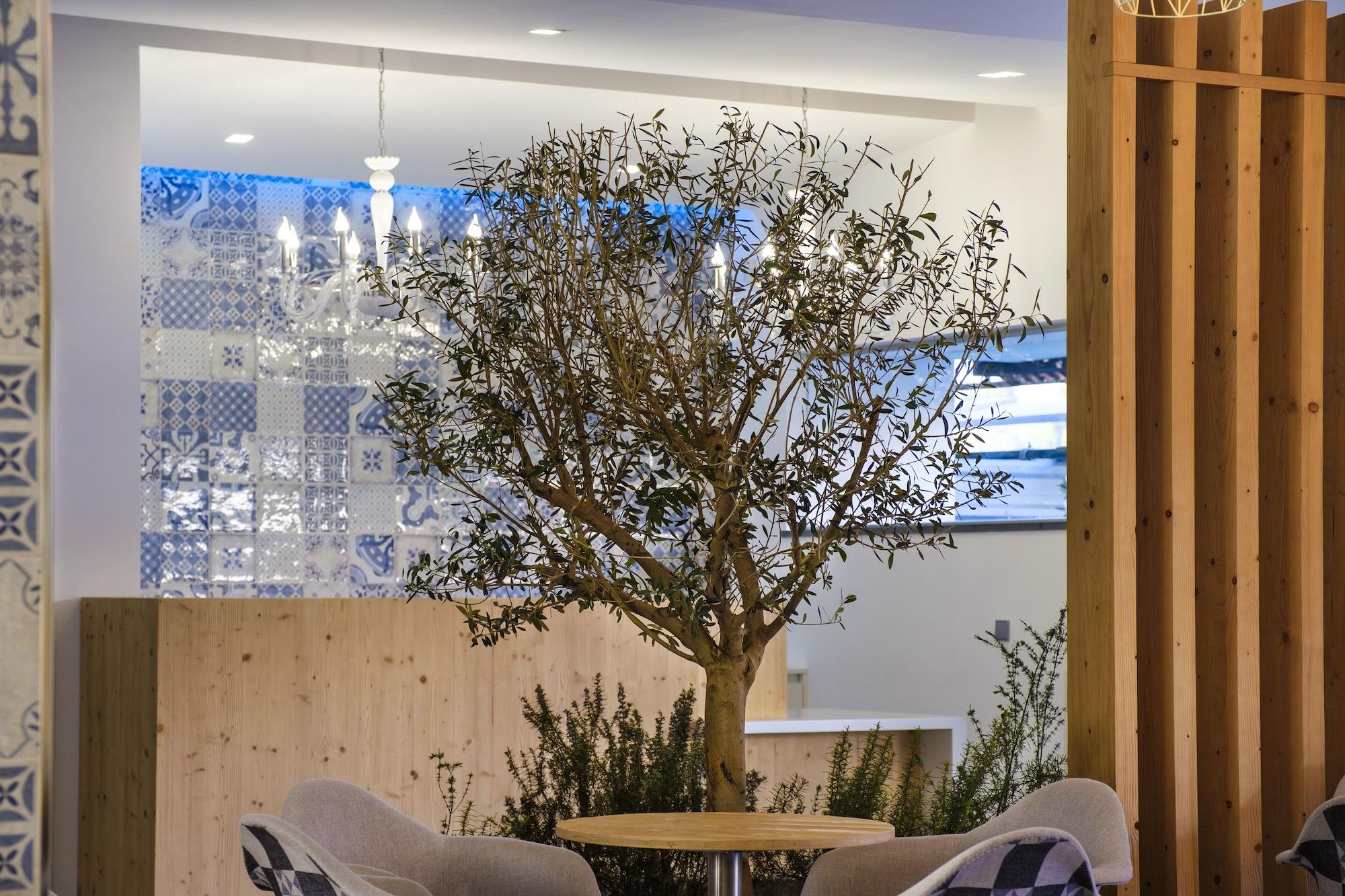 Vista Lobby Boutique Hotel Serra D’Aire