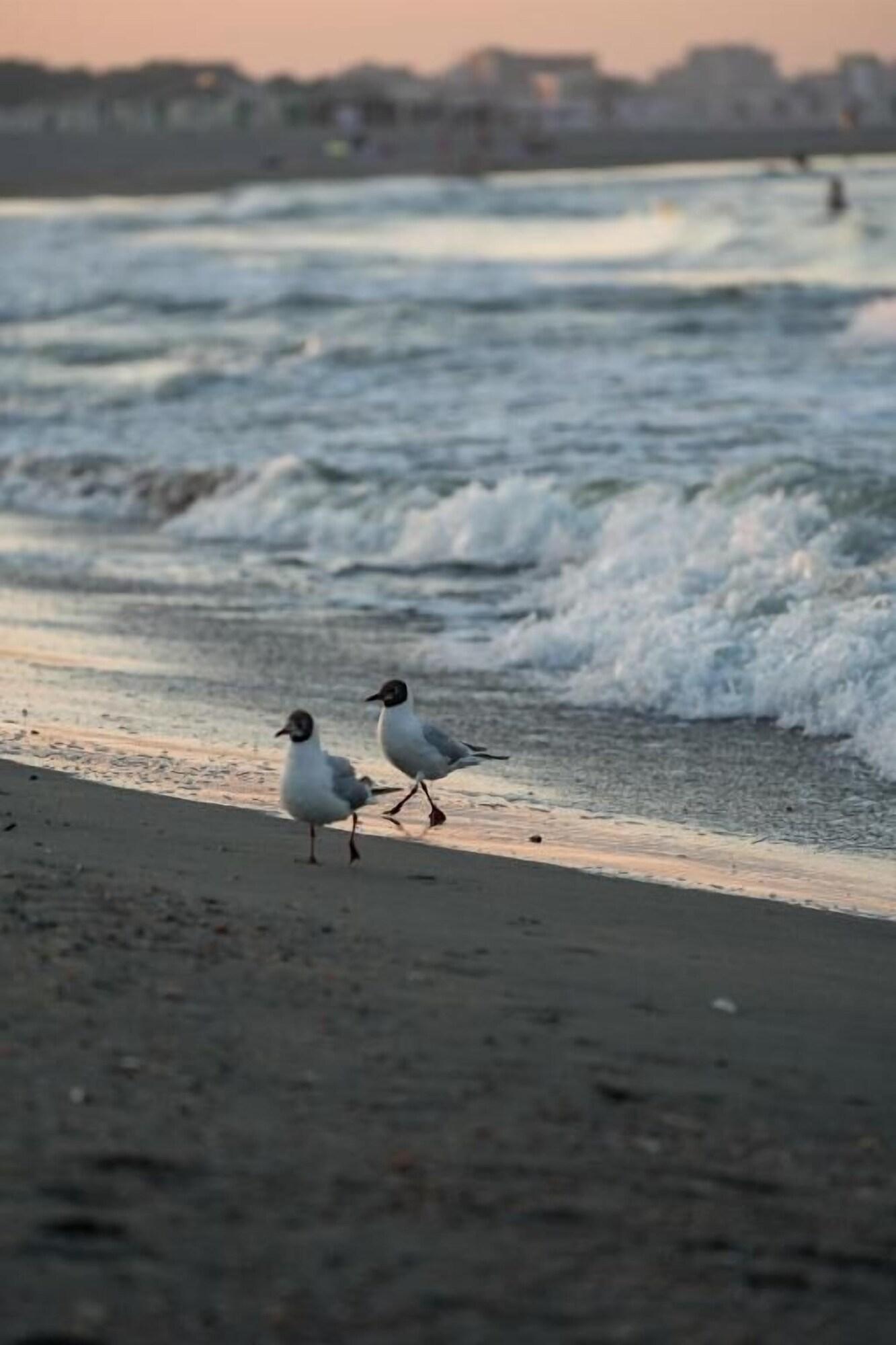 Vista Exterior RIVA Mamaia Aparthotel