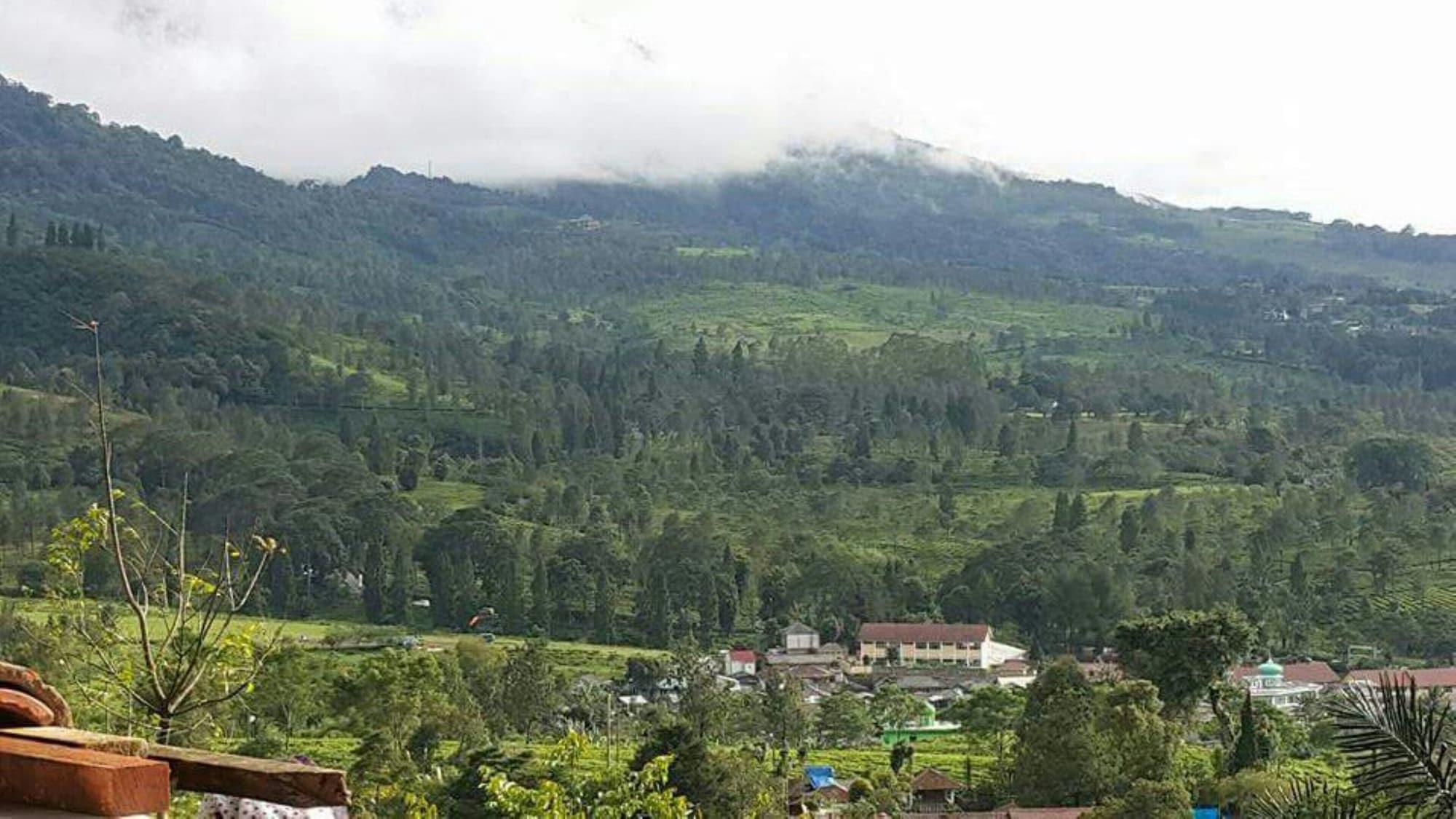 Equipamiento de Habitación Villa Patih