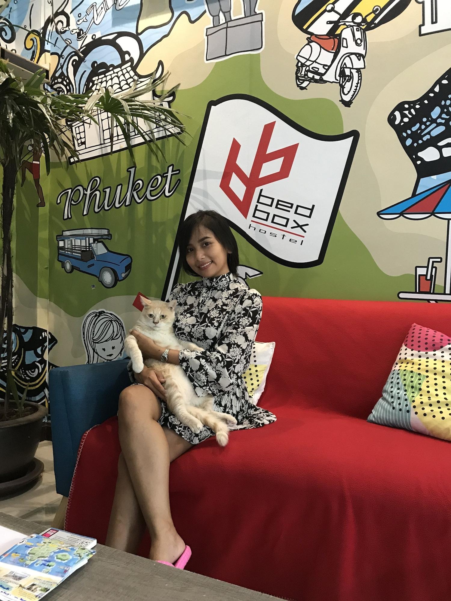 Vista Lobby Bedbox Guesthouse & Hostel