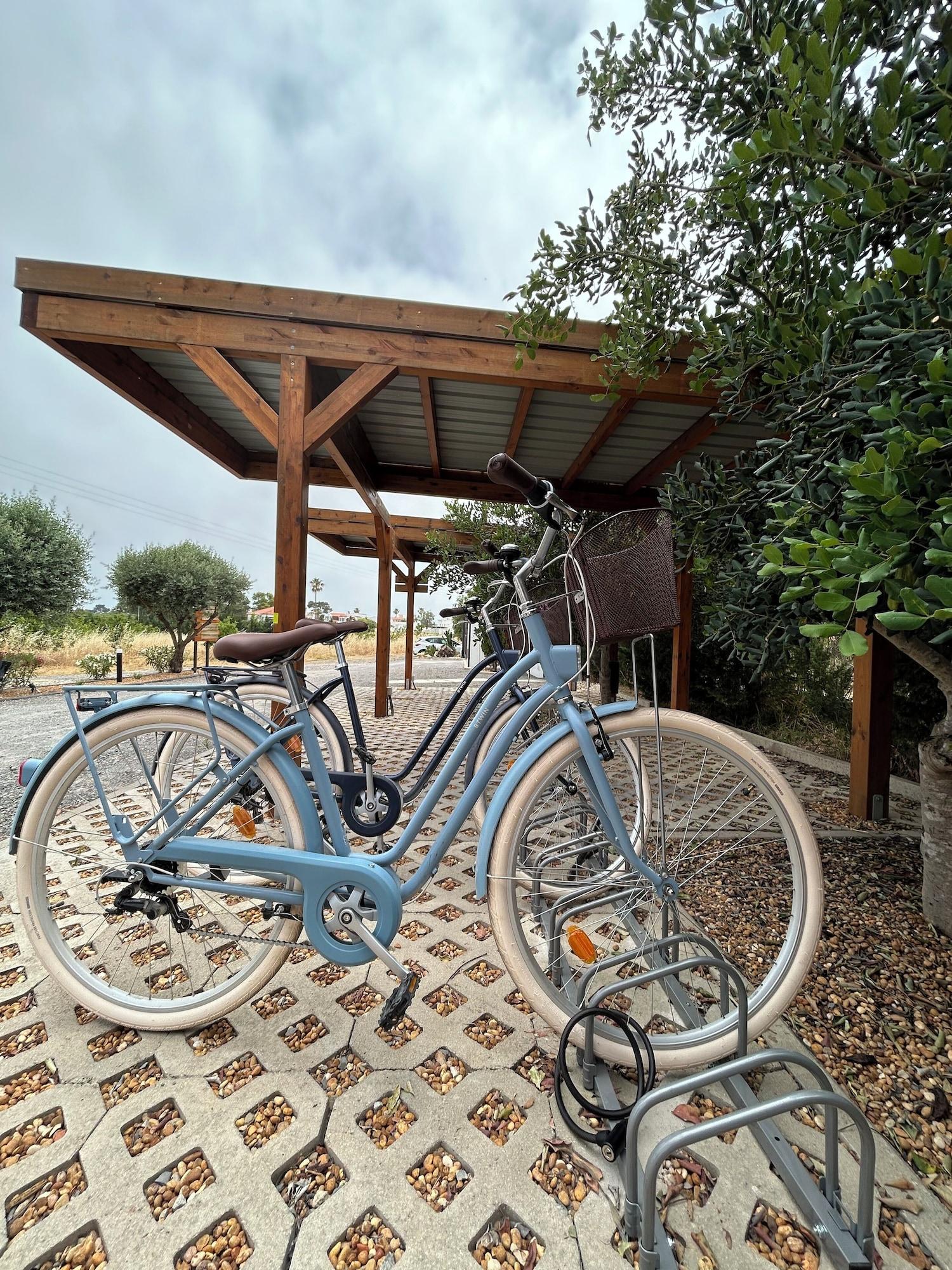 Varios Alfarrobeiras Nature Agroturismo