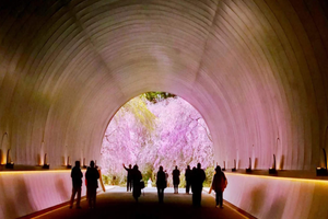 Actividad - Shiga’s Secret: Lake Biwa Scenic Day Trip - Full-Day Tour