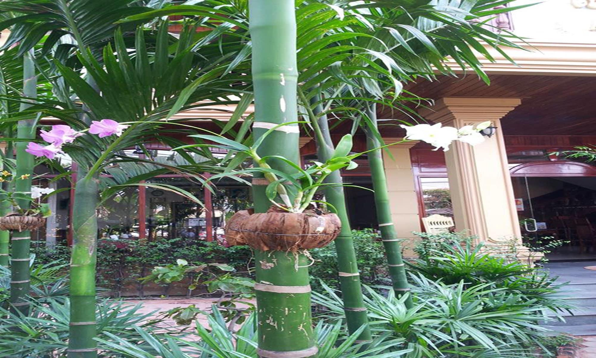 Vista Exterior Angkor Vattanak Pheap Hotel