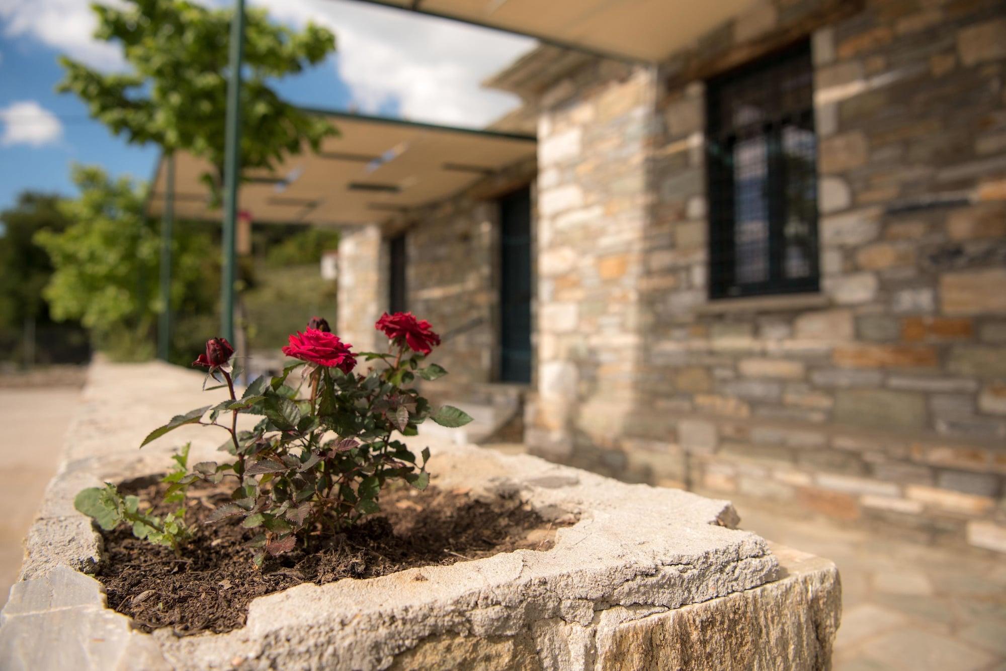 Vista Exterior Pelion Goddess Villas