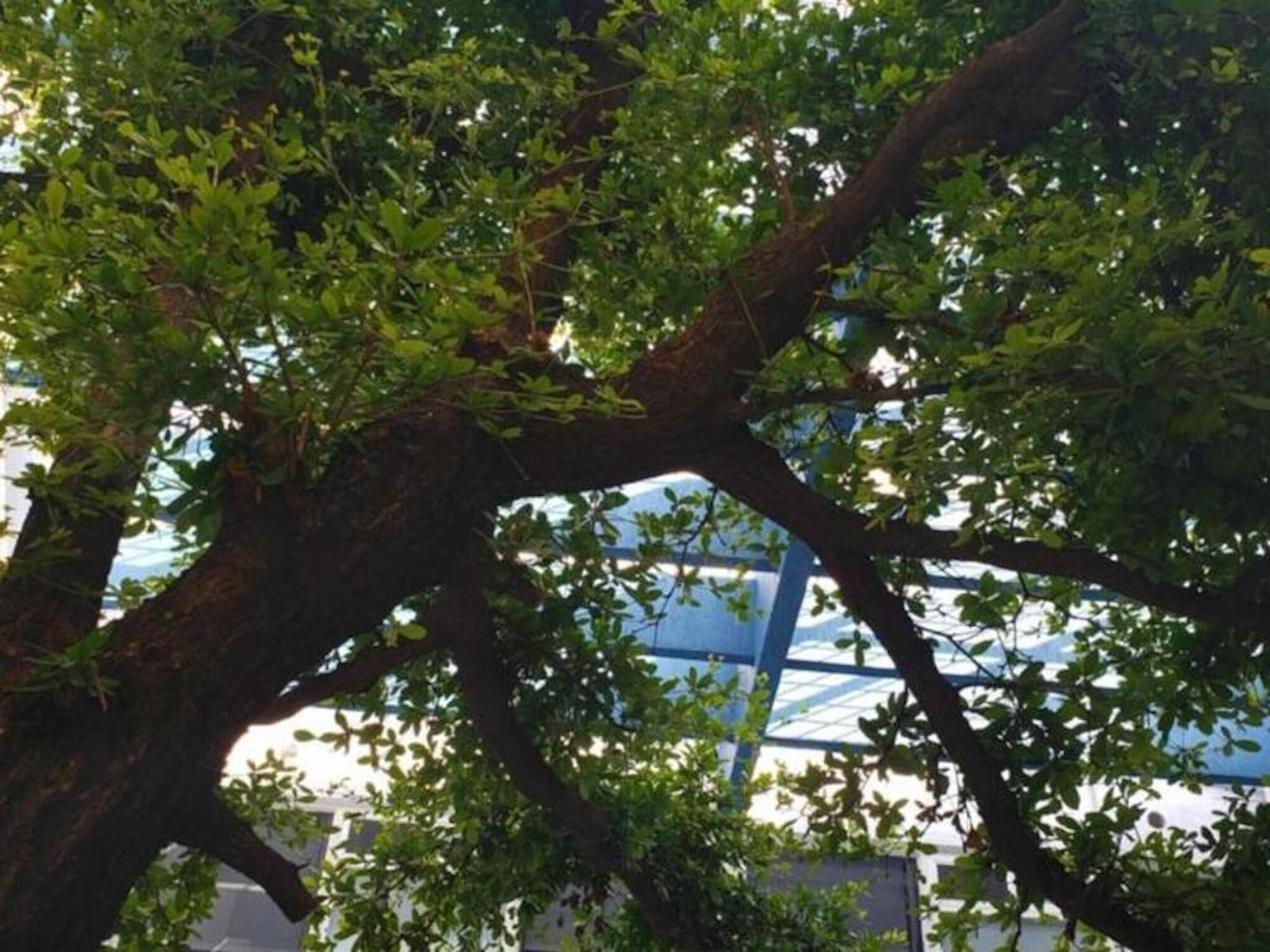 Vista Exterior El Gran Hostal - Bed in 8 People Dorm 6