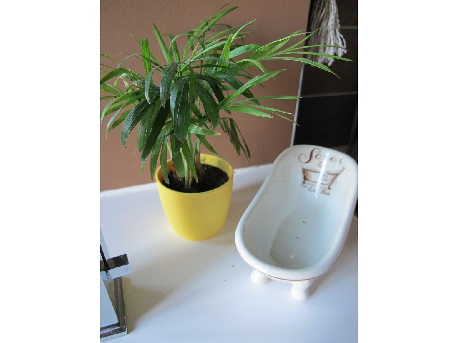 Equipamiento de Habitación La Bourgogne en Ville