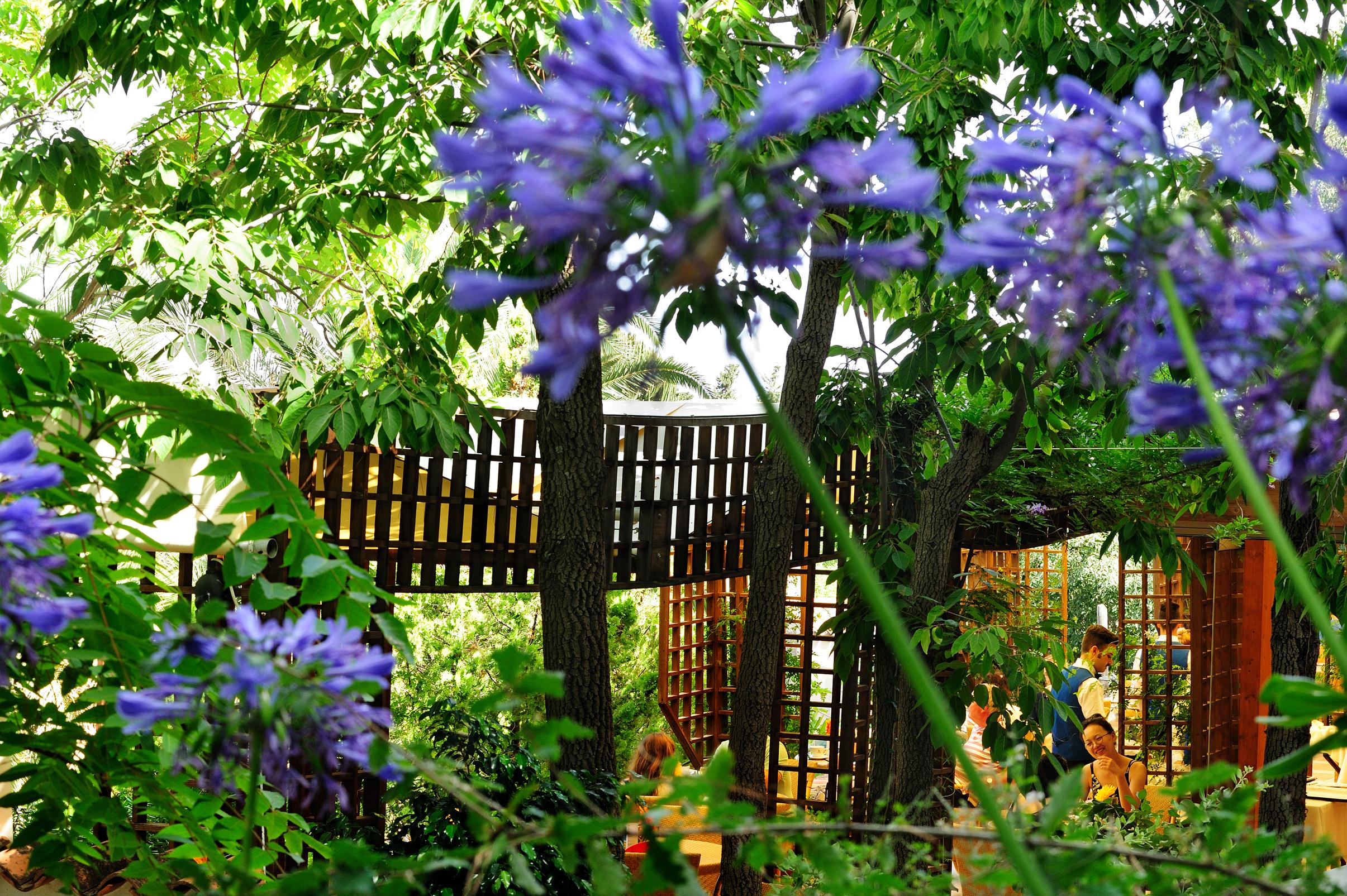 Vista Exterior Alberi Del Paradiso