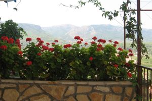 Alquiler Vacacional - Apartment with balcony for 2-3 persons in Jelsa-island Hvar