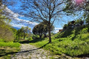 Alojamiento - Hotel Rural El Molino