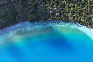 Hoteles Cerca de La Laguna de Bacalar para Adultos Todo Incluido