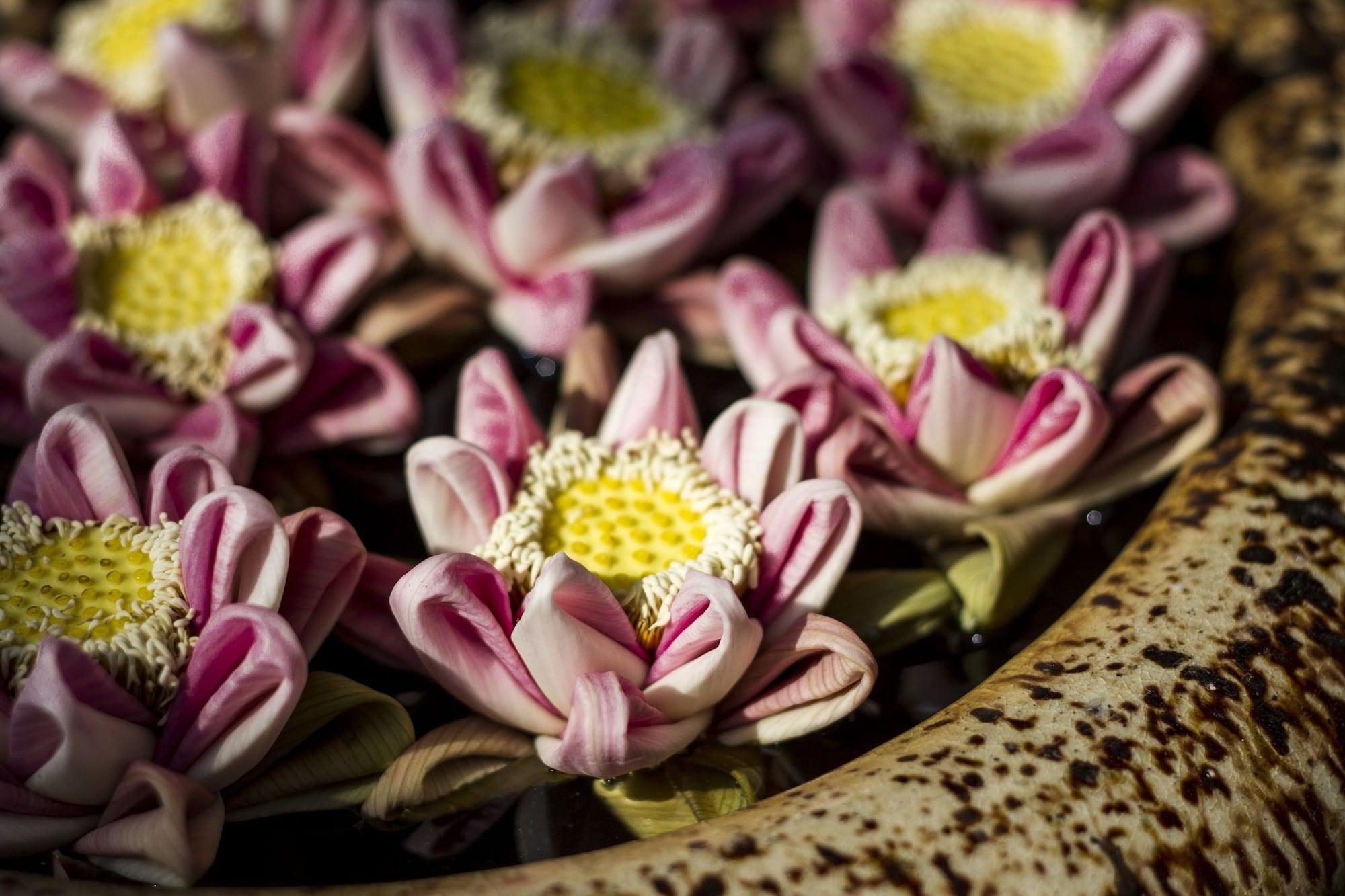 Spa Savada Angkor Boutique Hotel