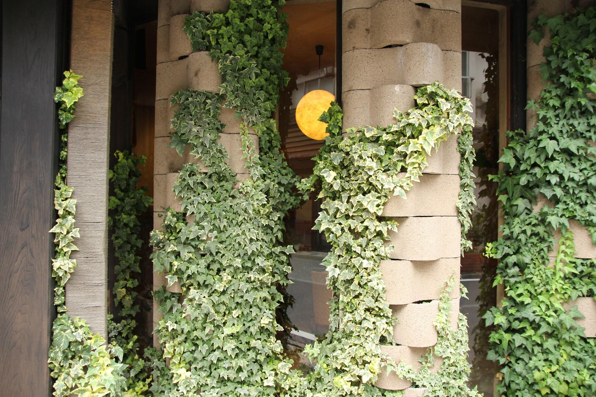 Vista Exterior Kinosaki Tajimaya