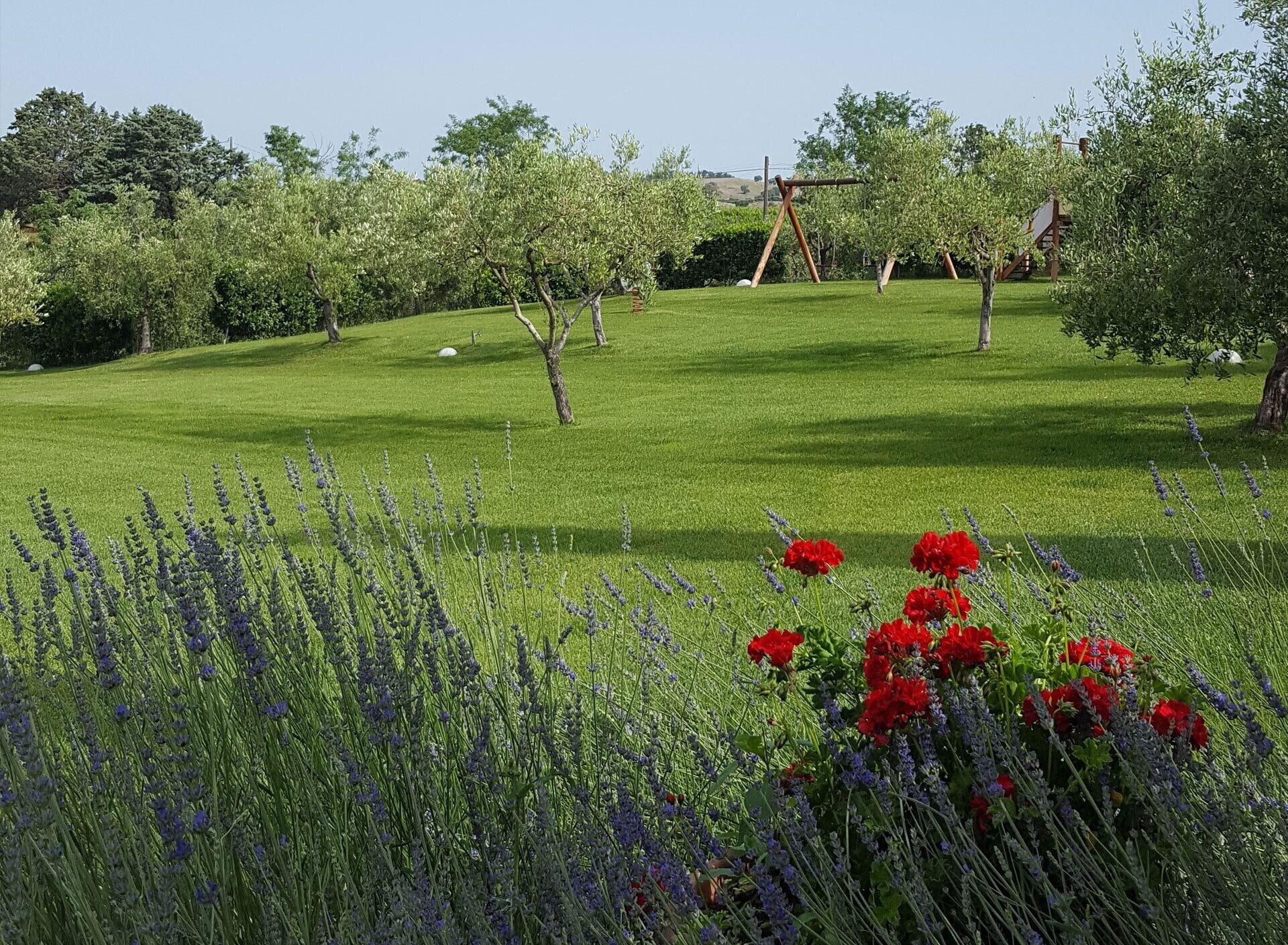 Varios Agriturismo Il Migliarino