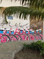 Alojamiento - Sheraton Colonia Golf & Spa Resort