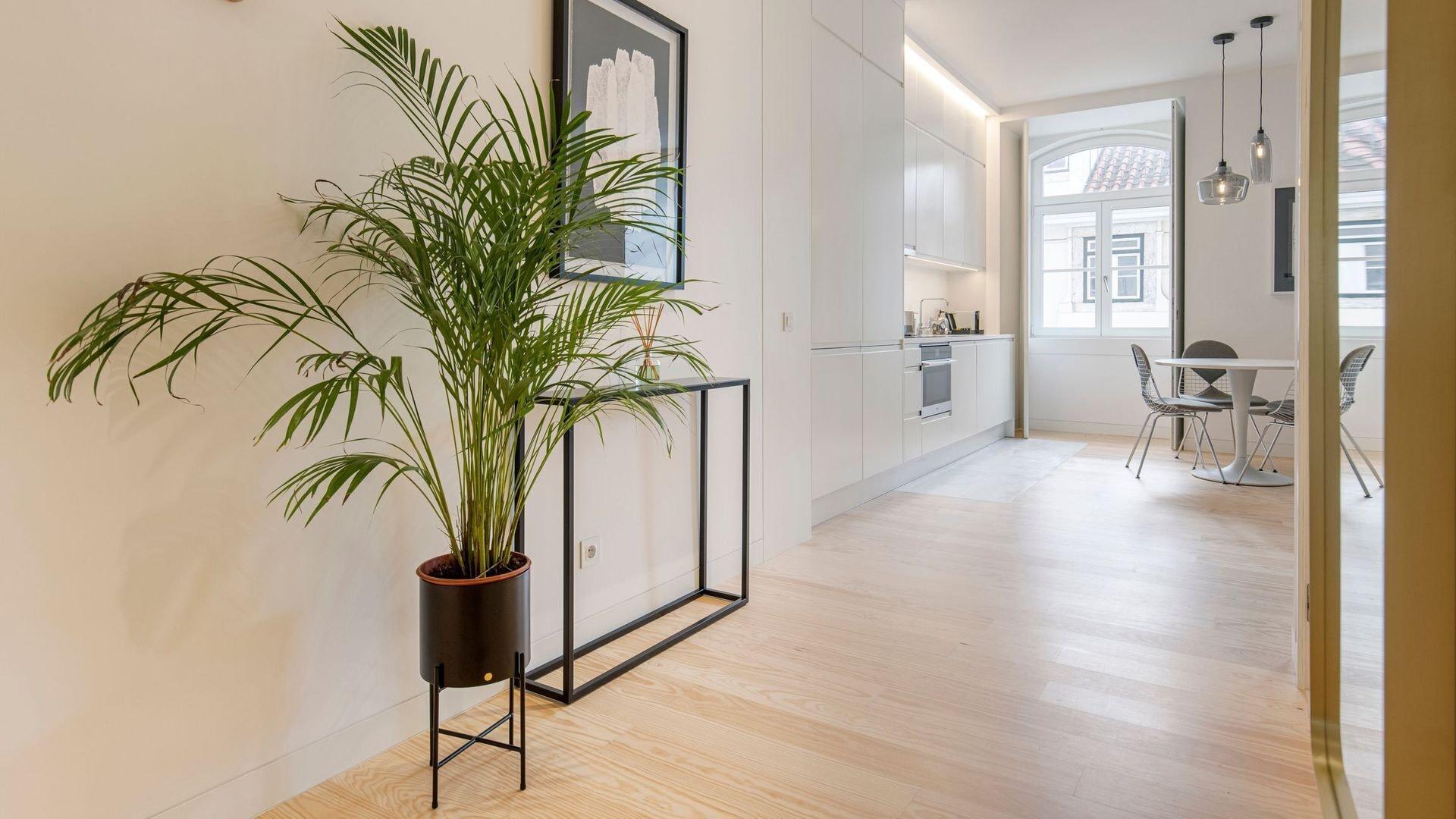 Varios Ando Living Douradores House