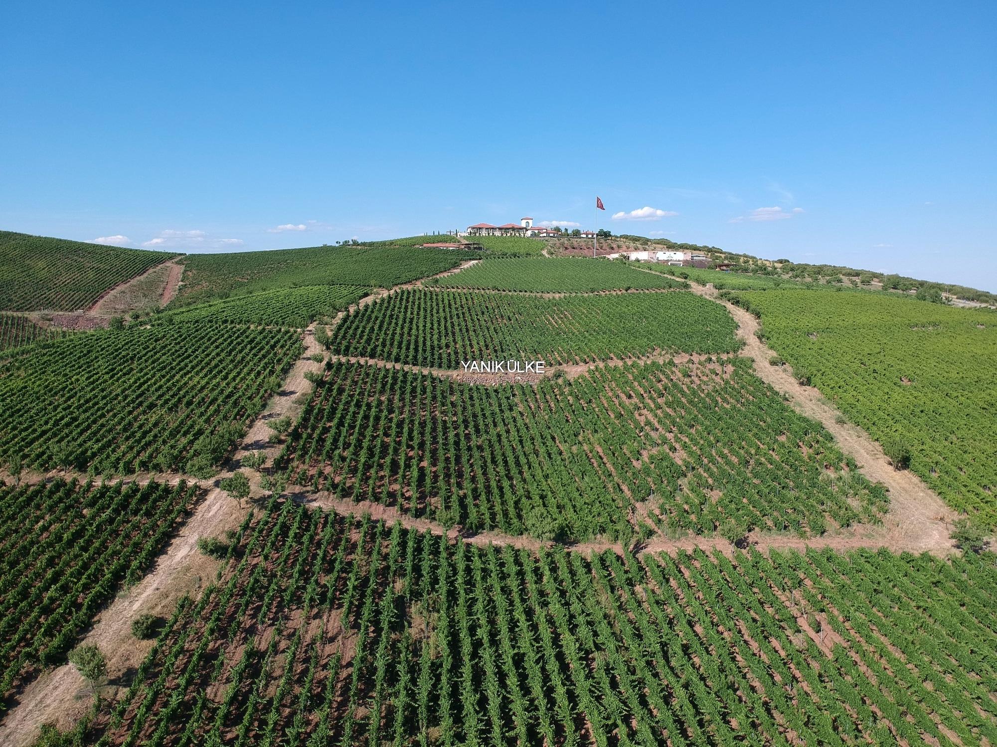 Vista Exterior Villa Estet Bag Oteli