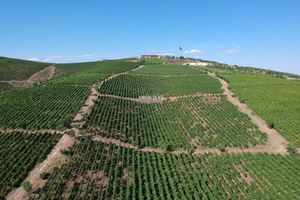 Alojamiento - Villa Estet Bag Oteli