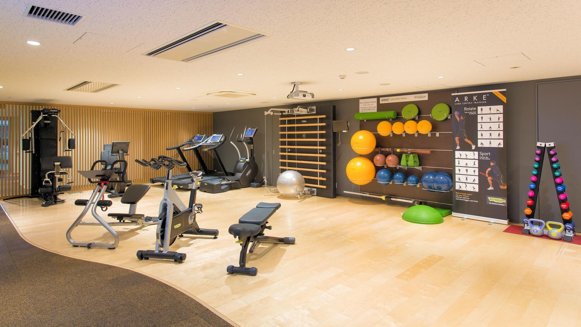 Gimnasio Chalet Ivy Hirafu