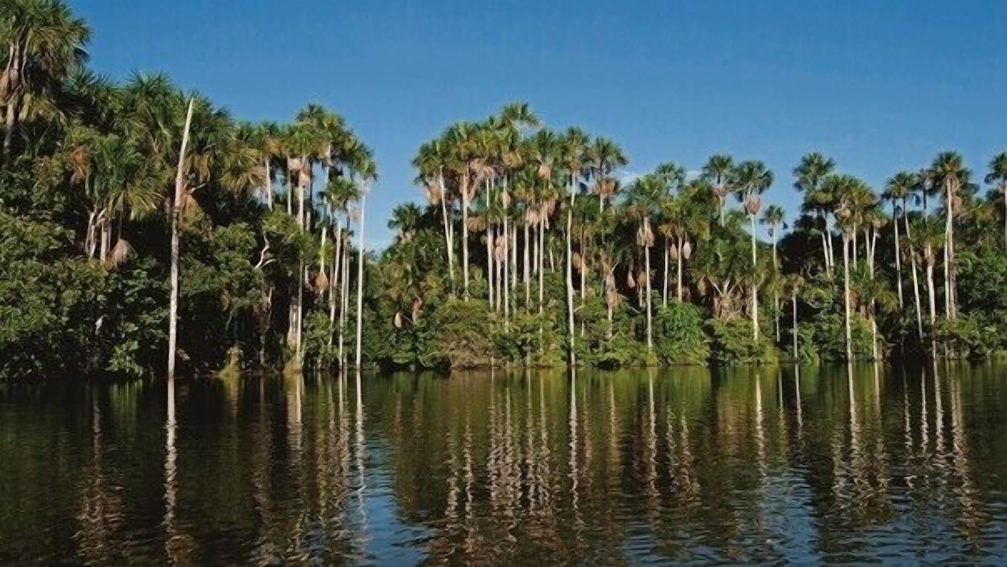 Instalaciones Recreativas Amazon Lodge Tambopata