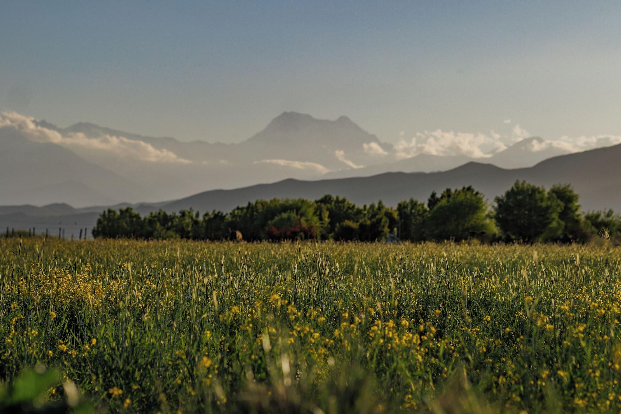 Vista Exterior Om Ifinity Lodge
