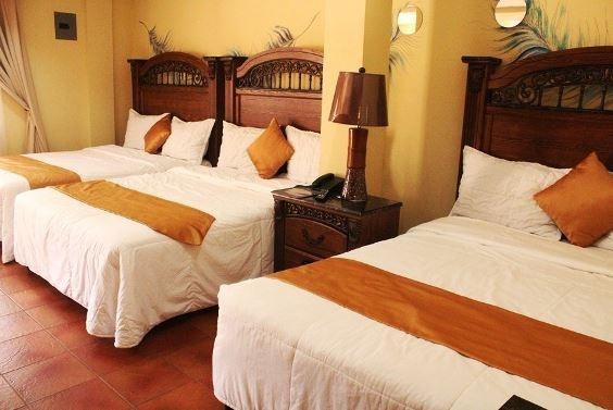 Habitación Hotel Zoologico Joya Grande