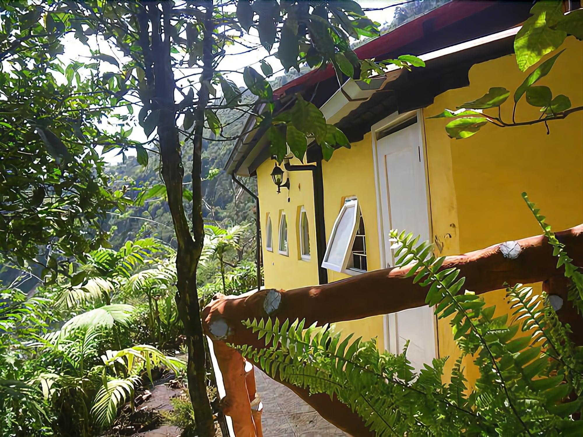 Vista Exterior La Casa Amarilla