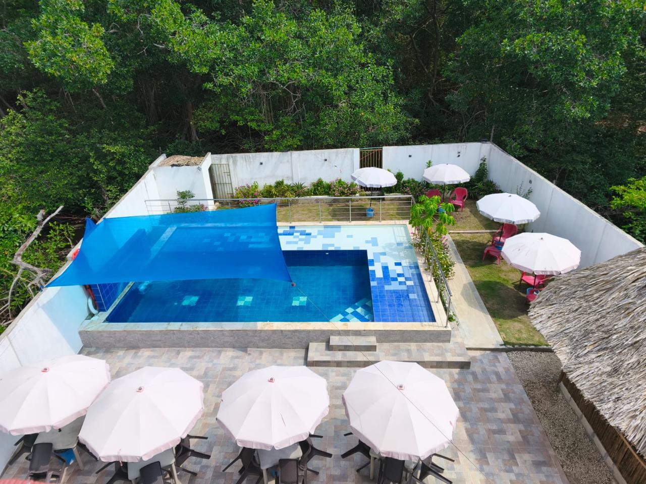 Vista Piscina Hotel Palmetto beach