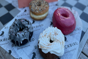 Passeio - Harvard Square Historical Donut Tour