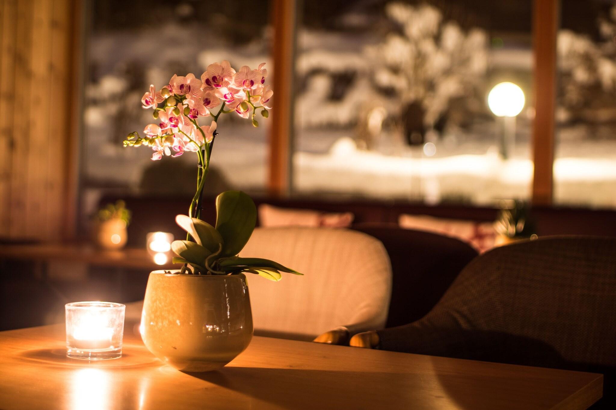 Vista Lobby Felbermayer