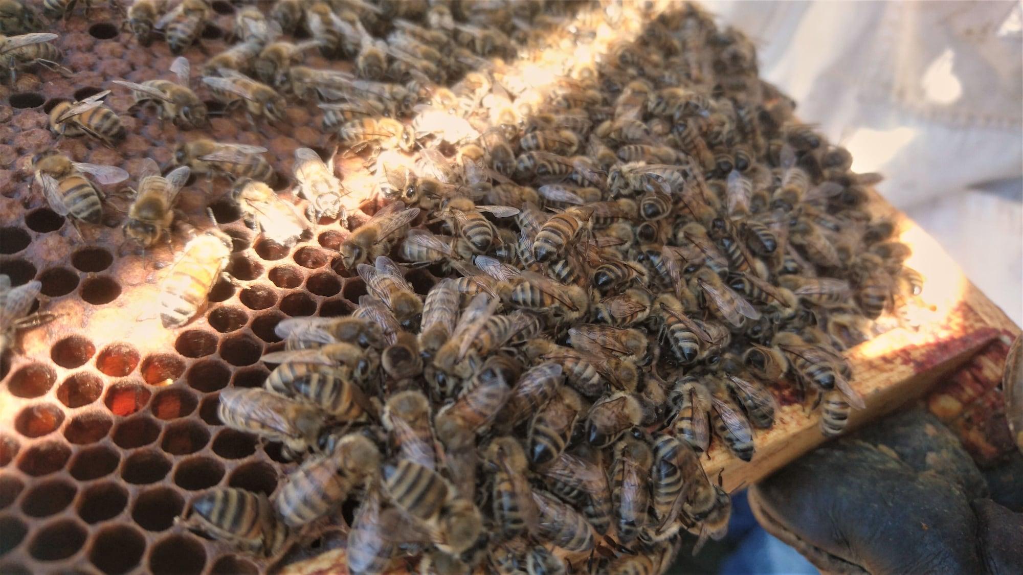 Instalaciones Recreativas Holiday Inn Express Paris-Canal de la Villette by IHG