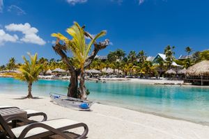 Pacote - The Royal Sea Aquarium Resort