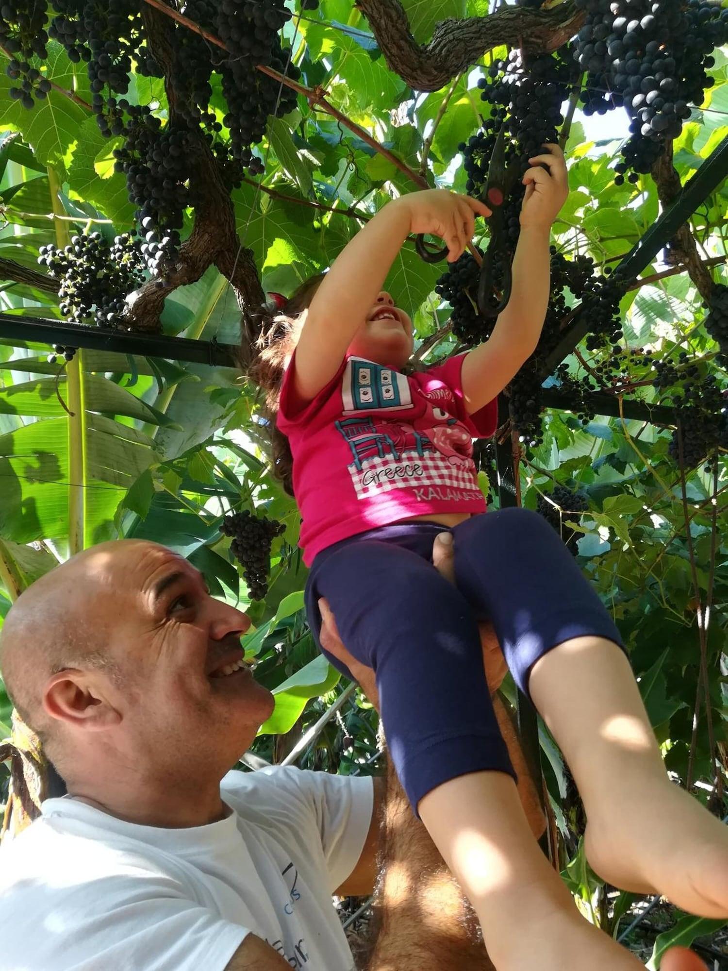 Gimnasio Casa da Avó Celina