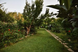 Alojamiento - Piramit Hotel