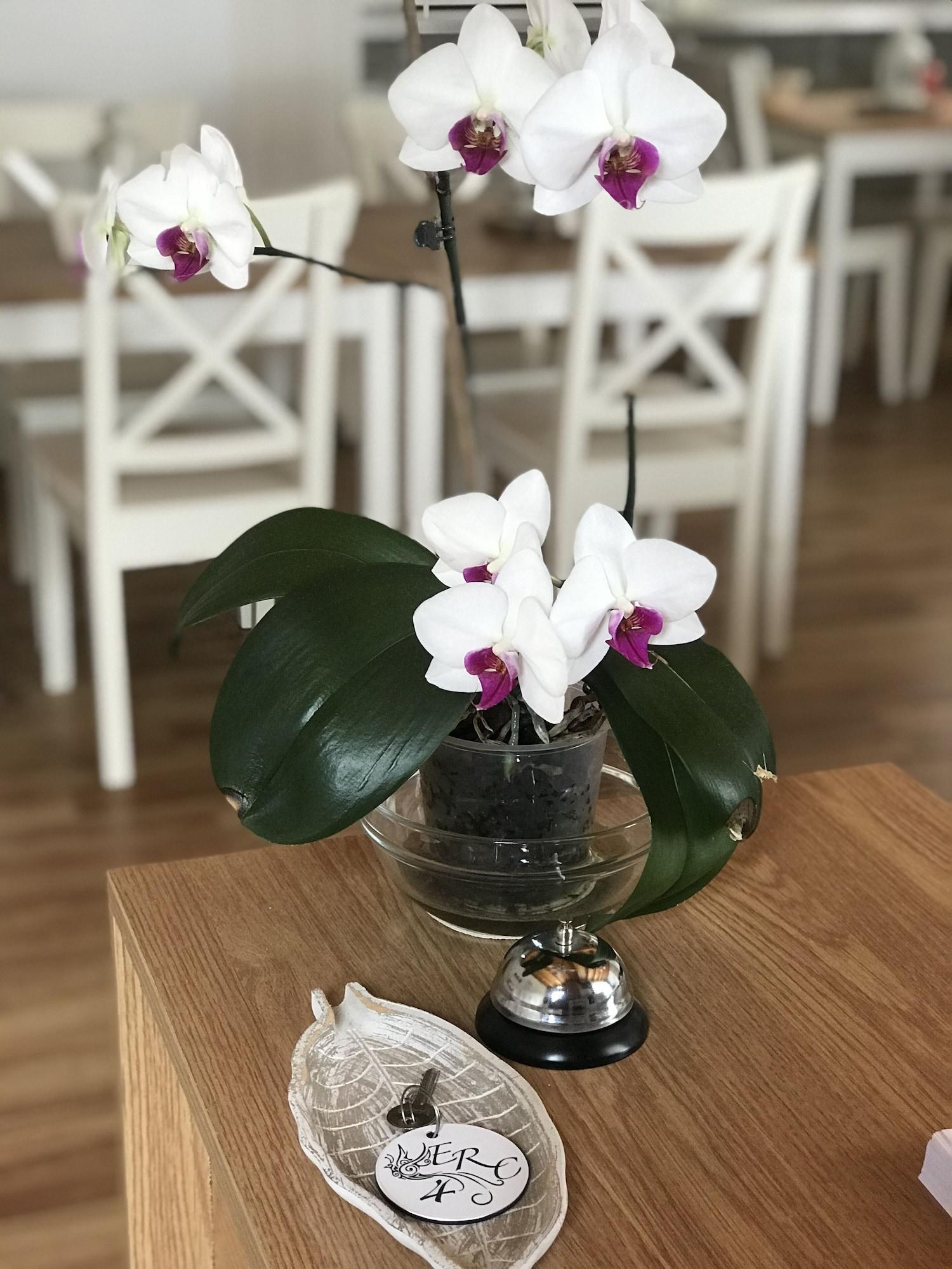 Vista Lobby El Rincon del Cuera