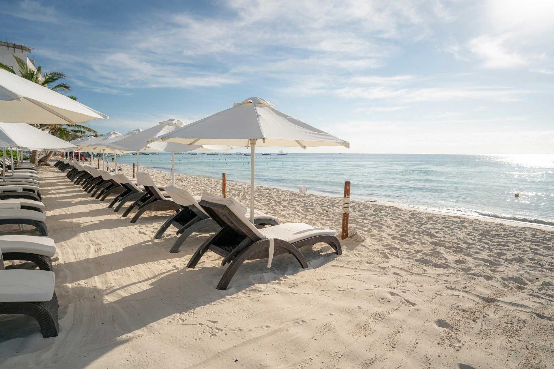 Playa In Fashion Hotel & Spa