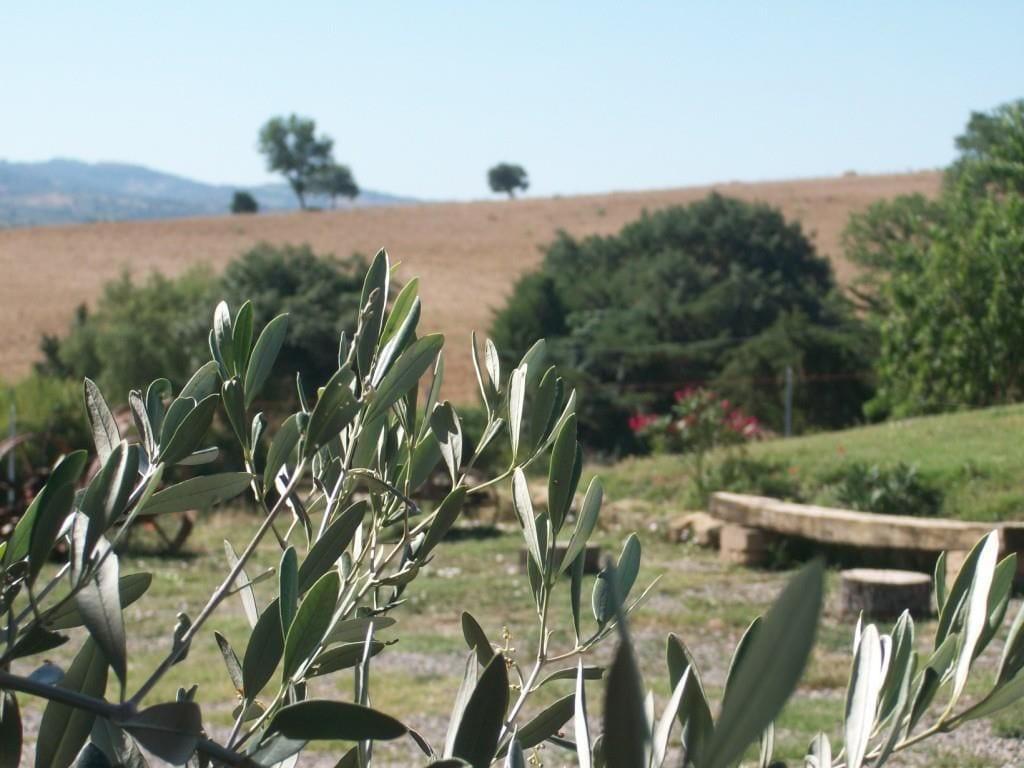 Varios Agriturismo I Casamenti