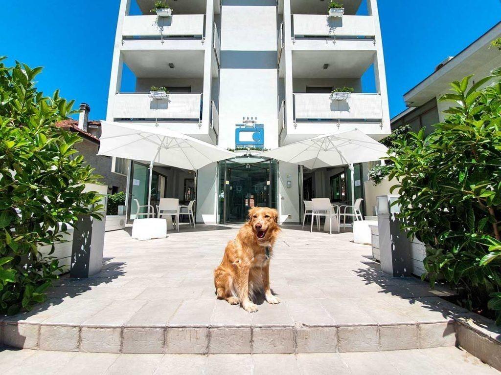 Varios Hotel The One