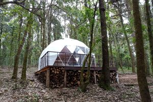 Alojamiento - Glamping Don Delfis