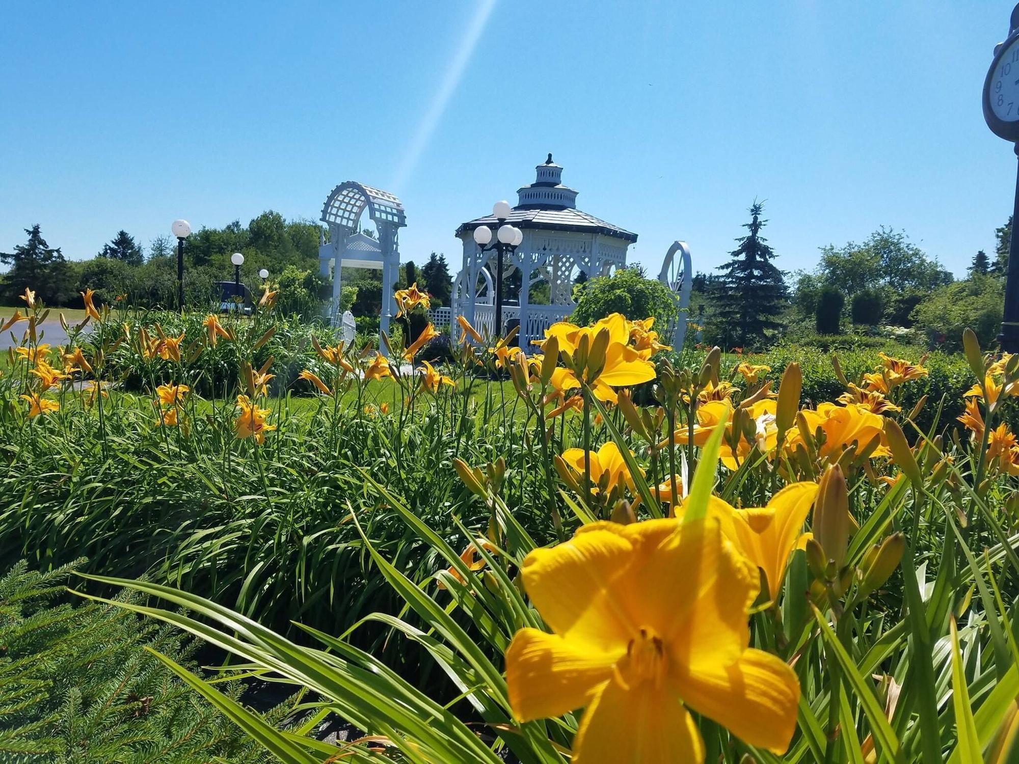 Comodidades del Alojamiento Plaza Motor Motel