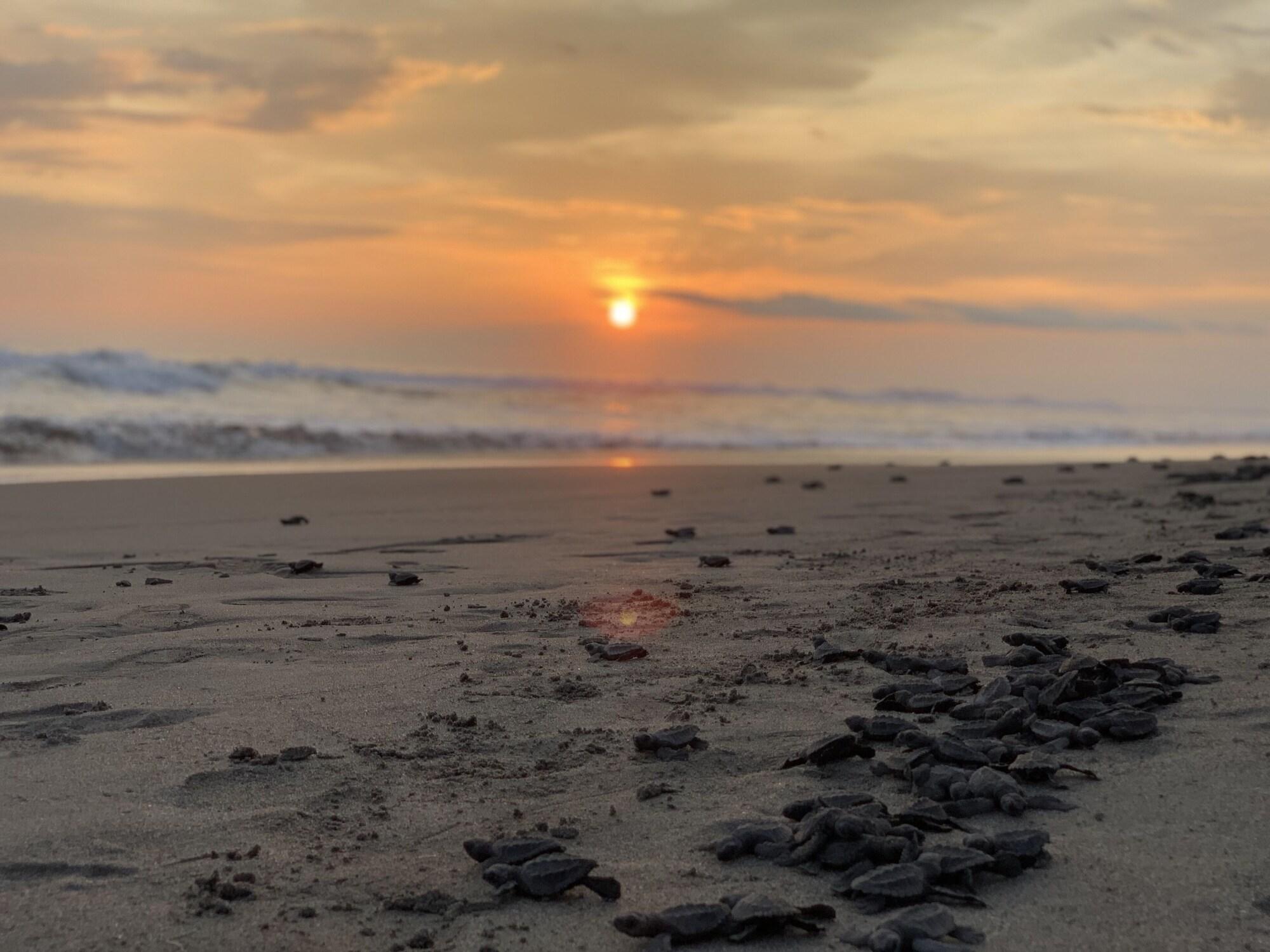 Playa Hotel Villa Murano