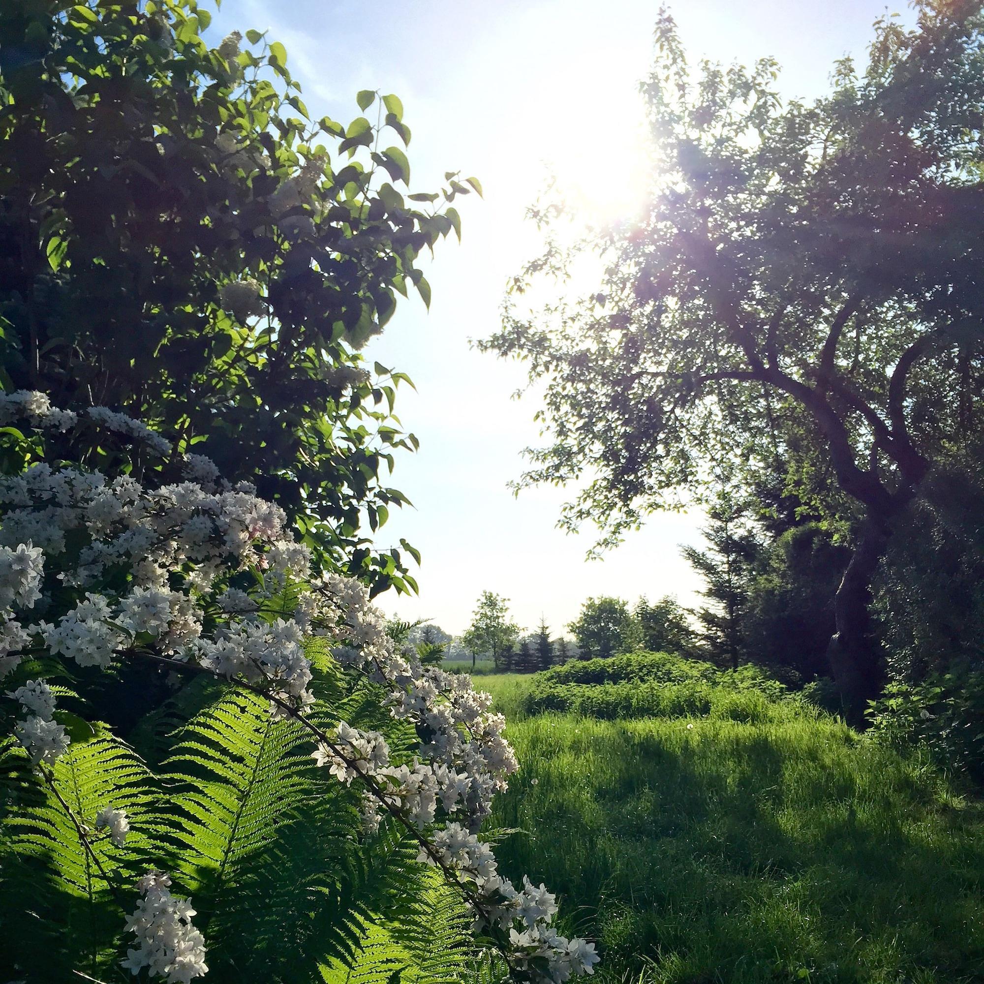 Vista Exterior Landhof Liebsch