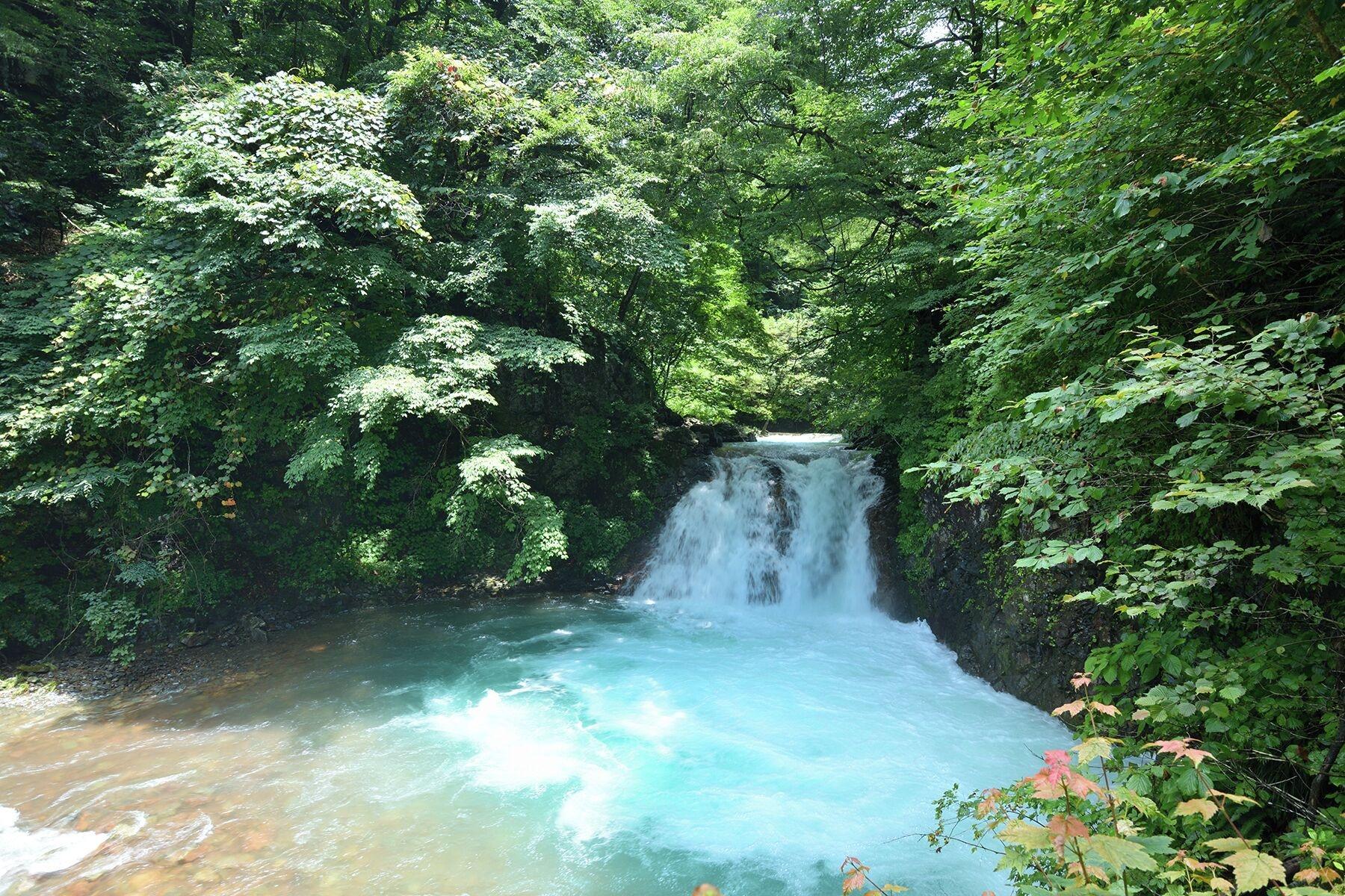 Varios Shima Onsen YOSHIMOTO