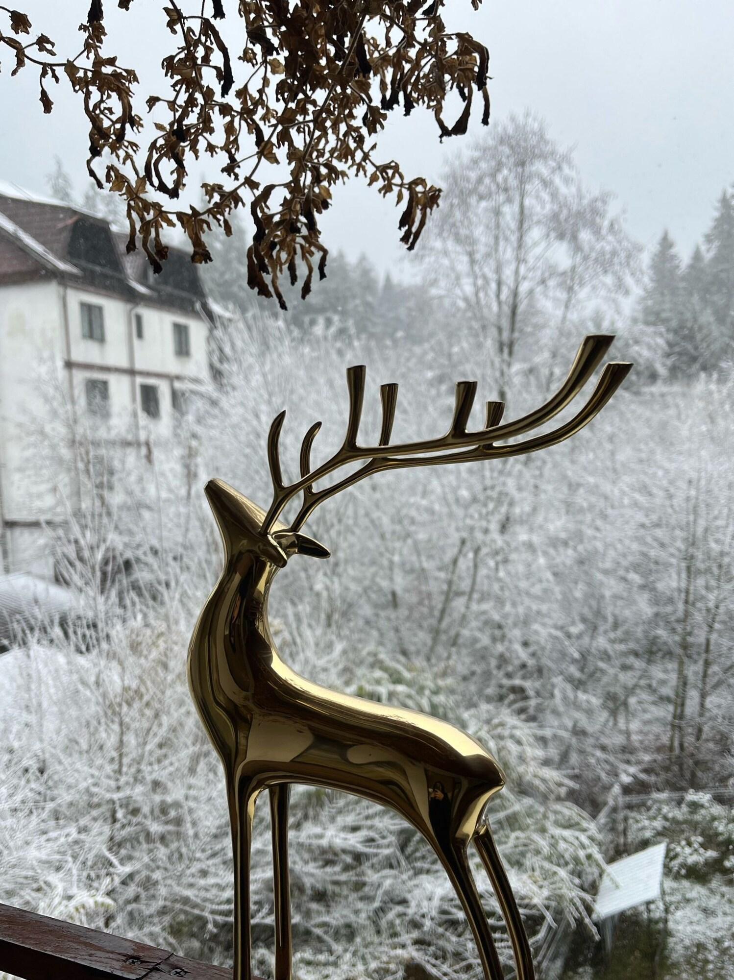 Vista Exterior Cerbul Chalet