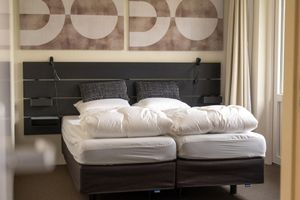 Arriendo temporal - Pet Friendly & Peaceful Stay