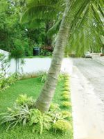 Alojamiento - Adaviya Resort