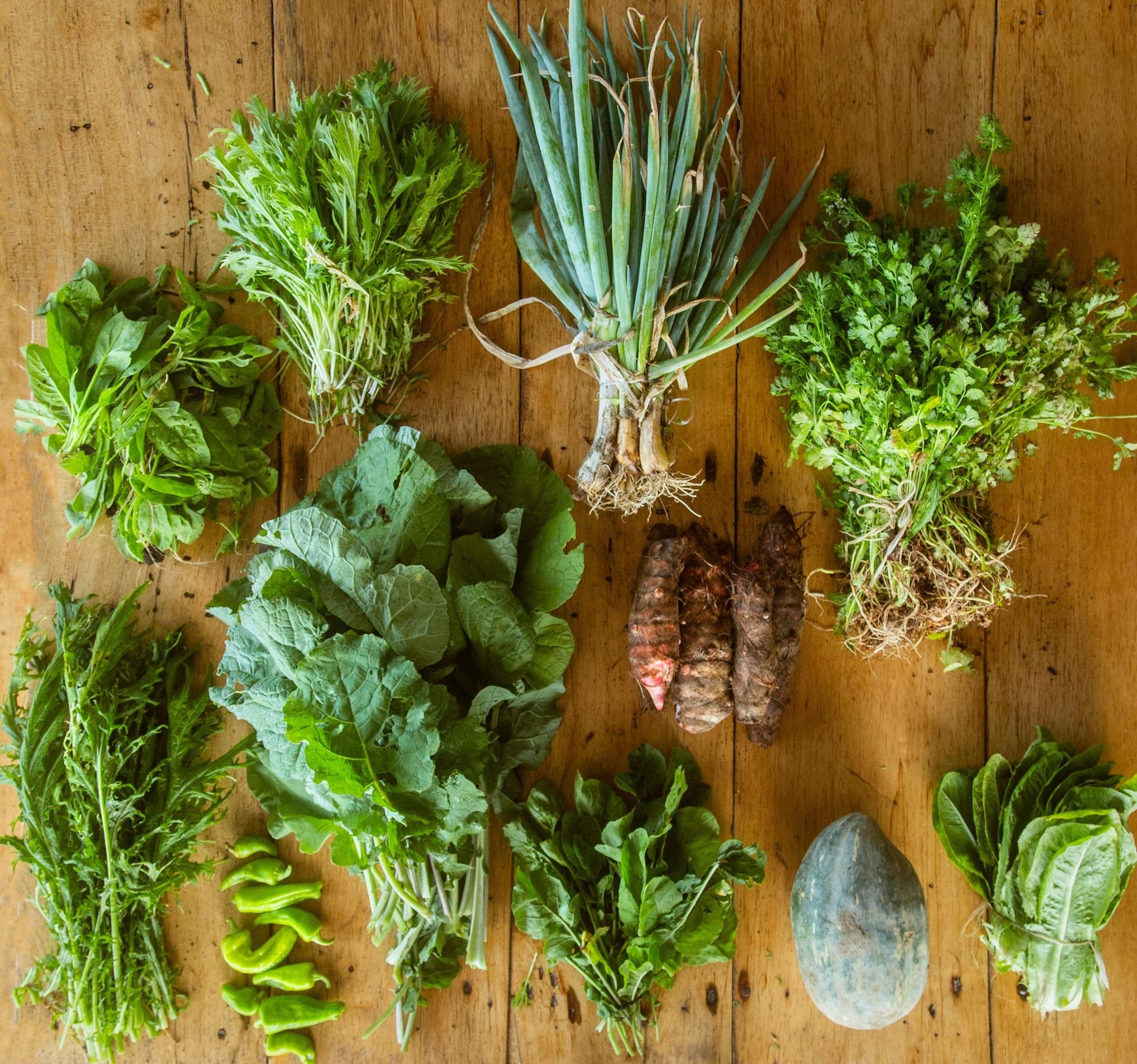 Restaurant Mundo Nuevo Eco Lodge