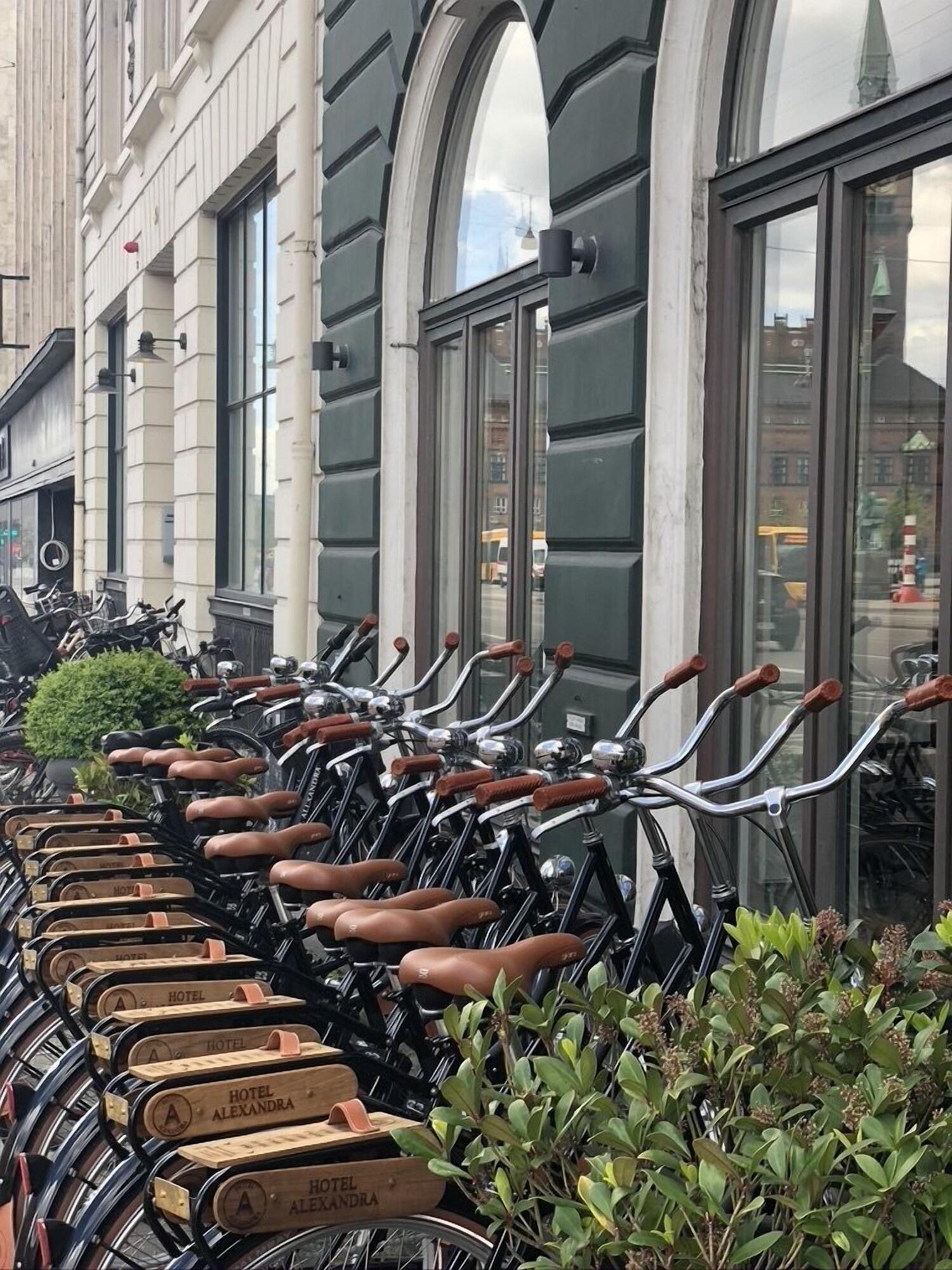 Instalaciones Recreativas Hotel Alexandra