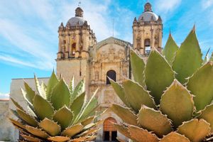 Escápate a la aventura de conocer Oaxaca