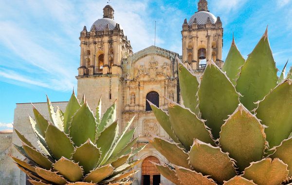 one Oaxaca